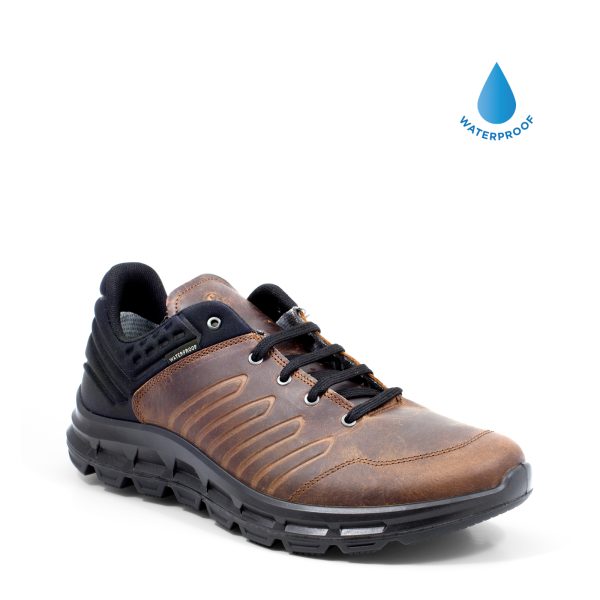 Woodland Brown